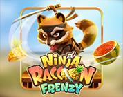 Ninja Raccoon Frenzy